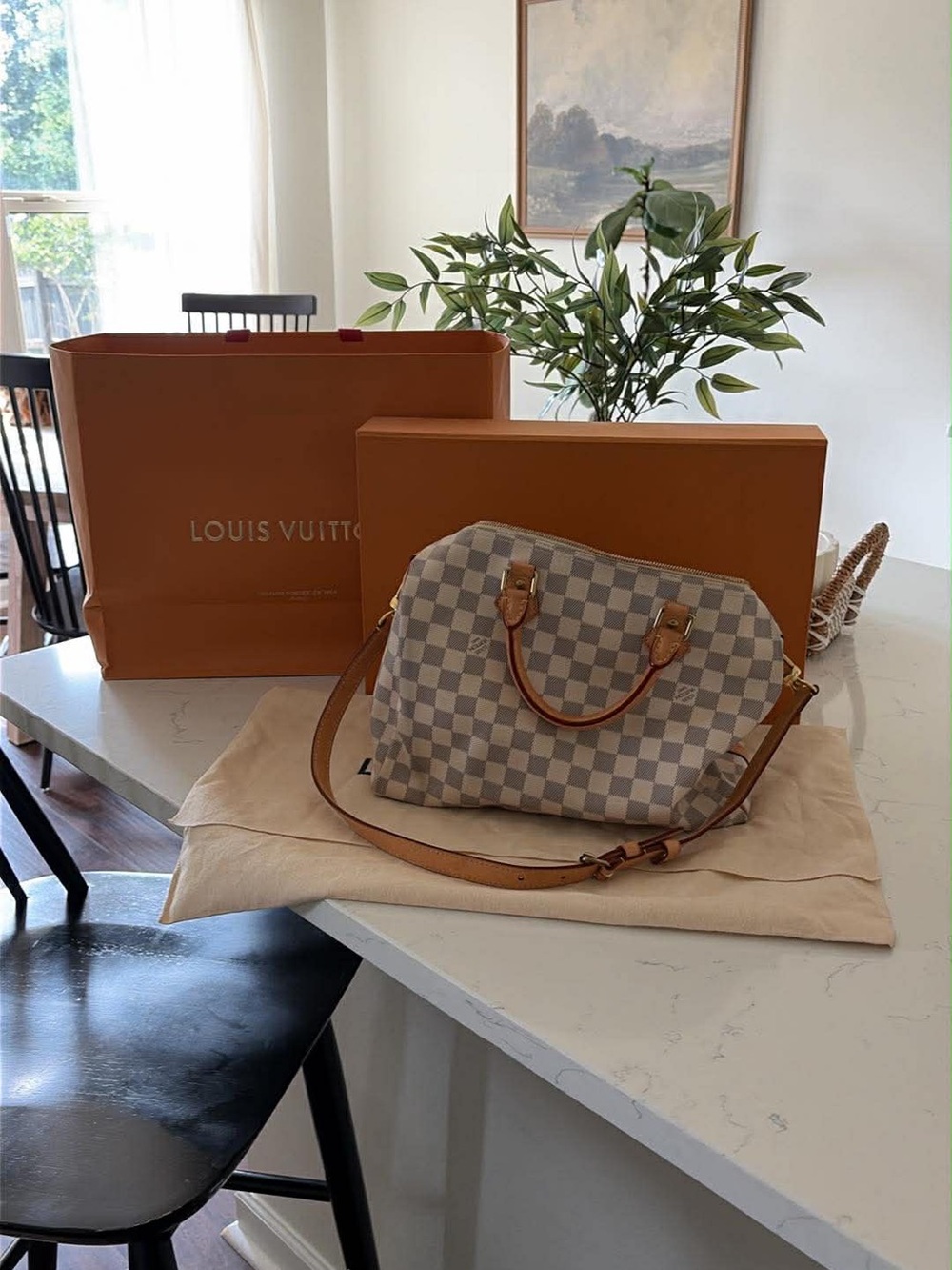 Louis Vuitton Damier Azur Speedy Bandoulière Satchel - White/Blue - Picture 5 of 5